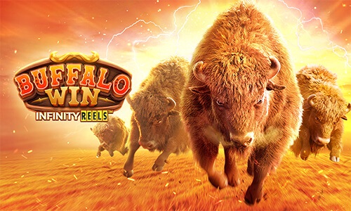 buffalo win slot